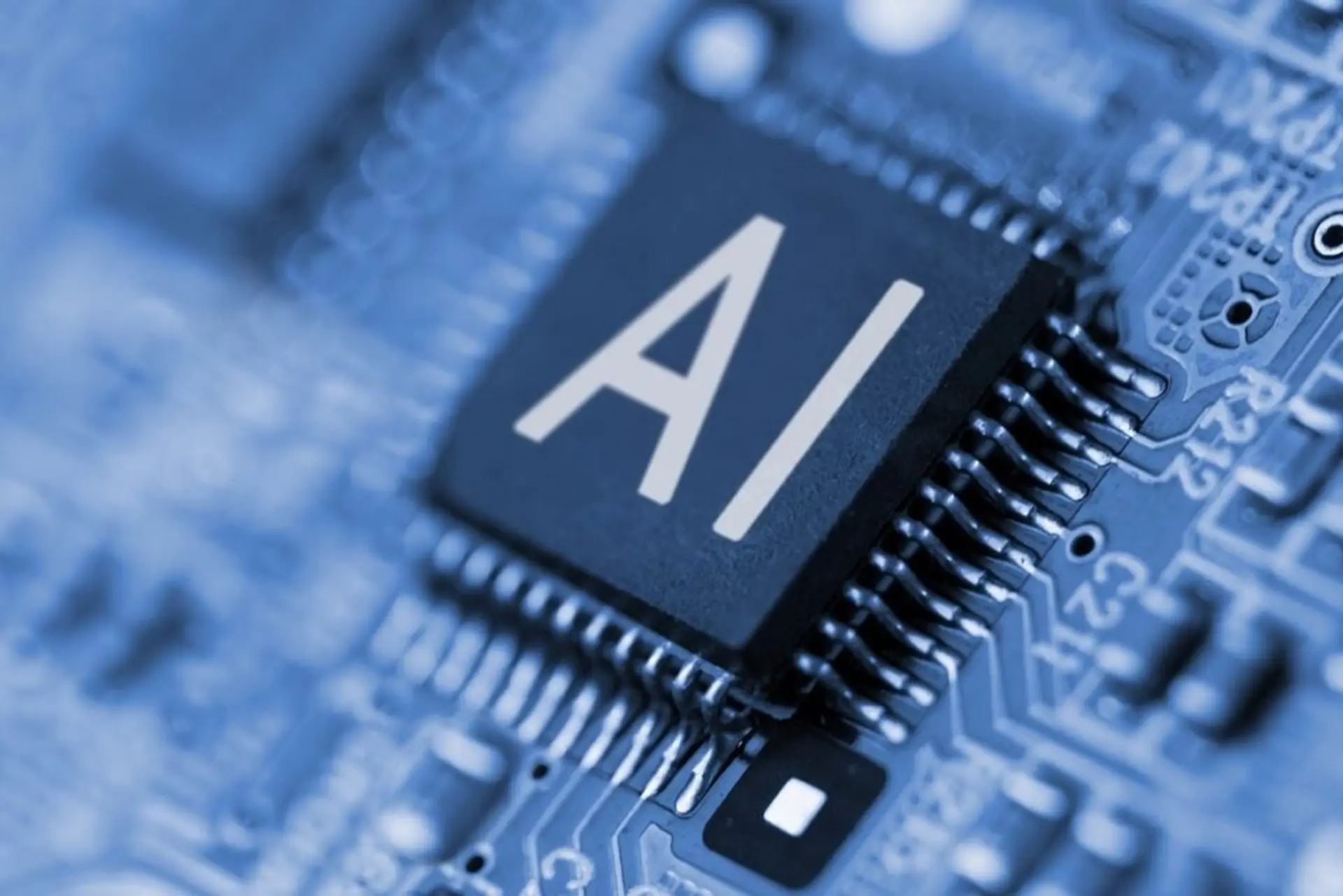 AI Disruption Triggers Investor Flight
