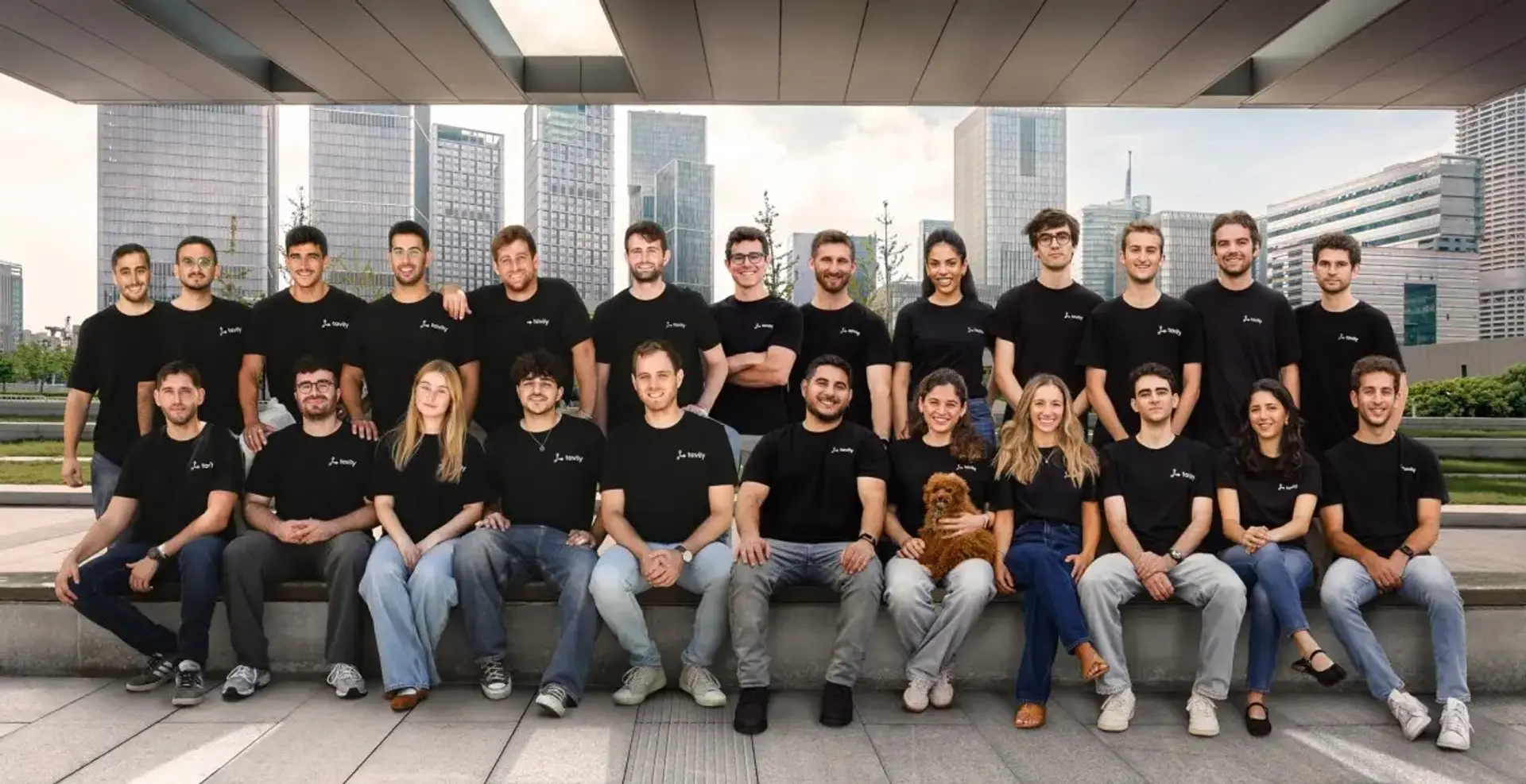 Tavily: AI Agent Web Access