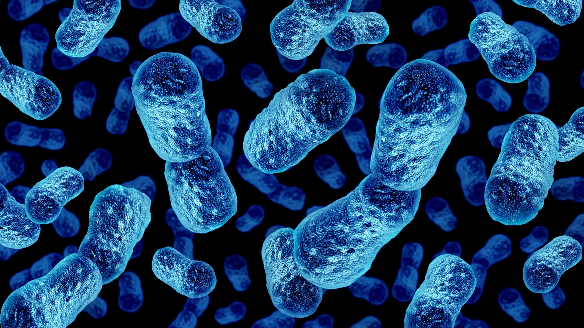 AI Tackles Fatigue Diseases