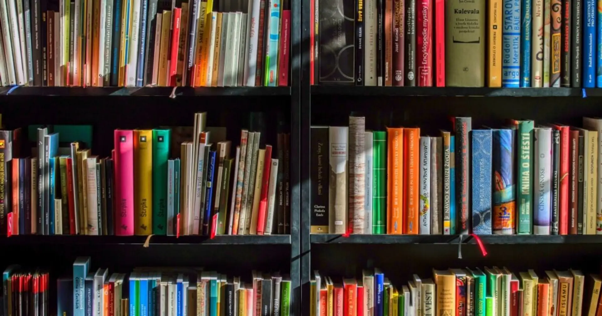 Authors' Class Action Approved