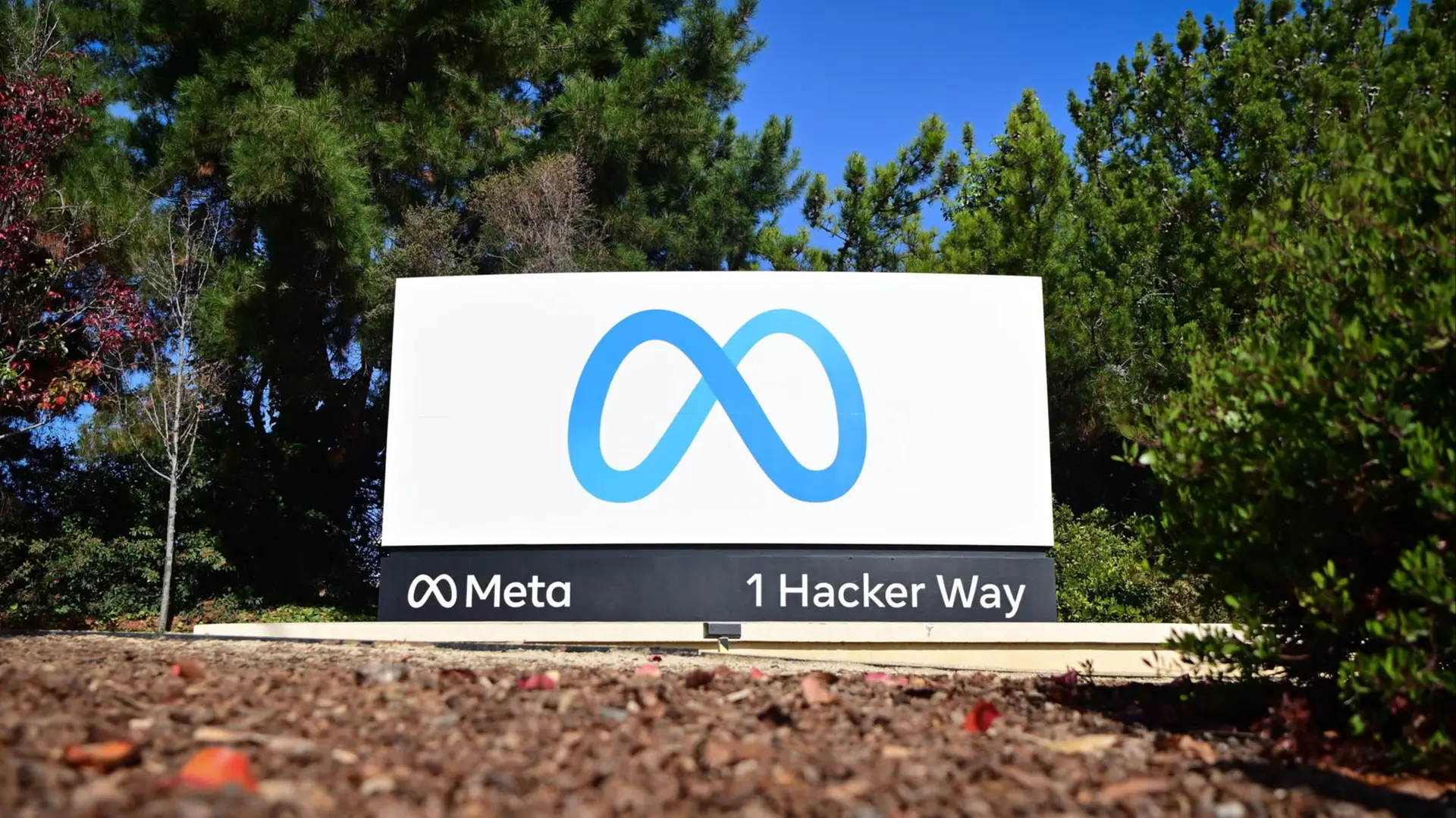 Meta Invests in Scale AI