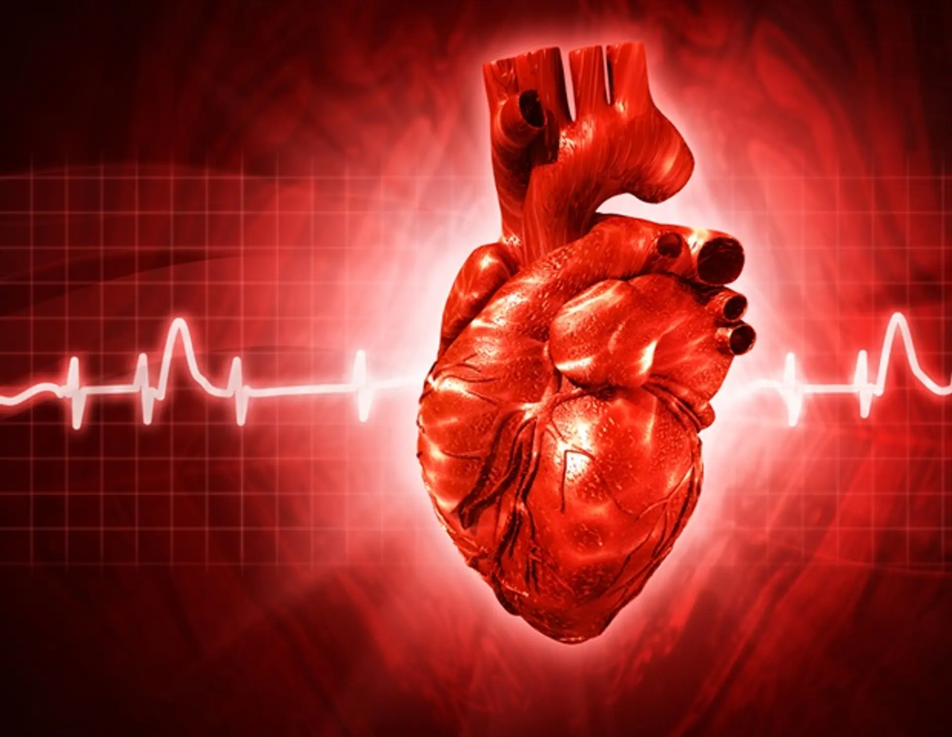 AI Boosts Heart Disease Detection