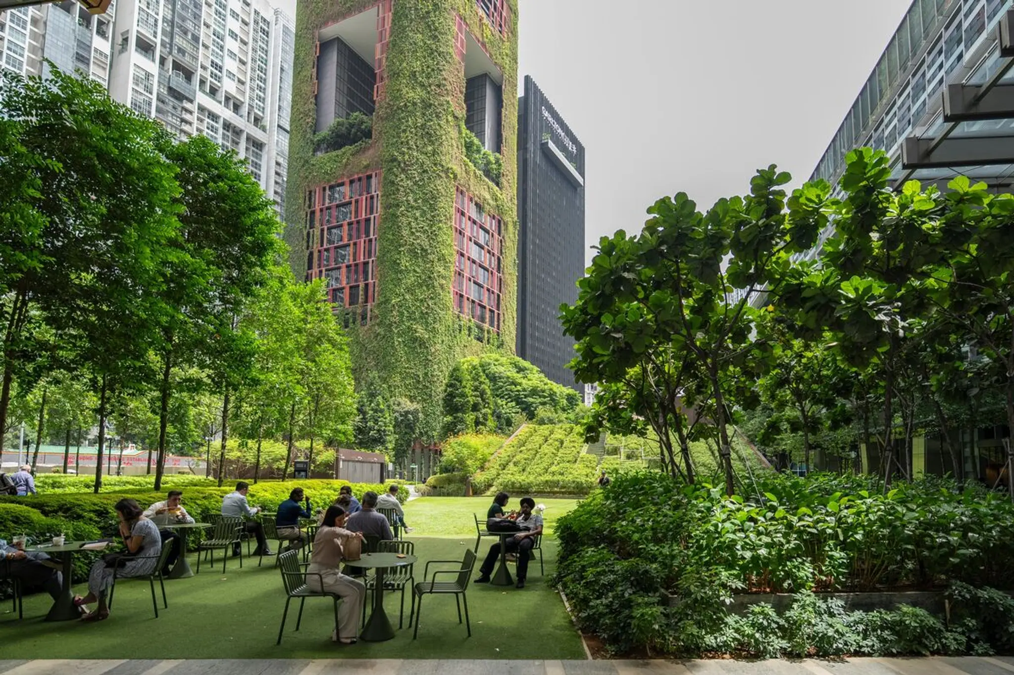 Singapore focuses on local AI development