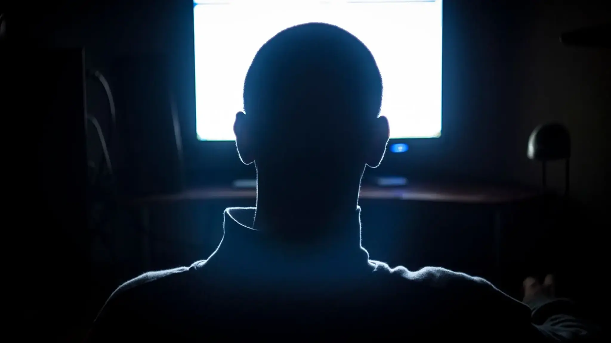 AI Misuse: Bergman sentenced