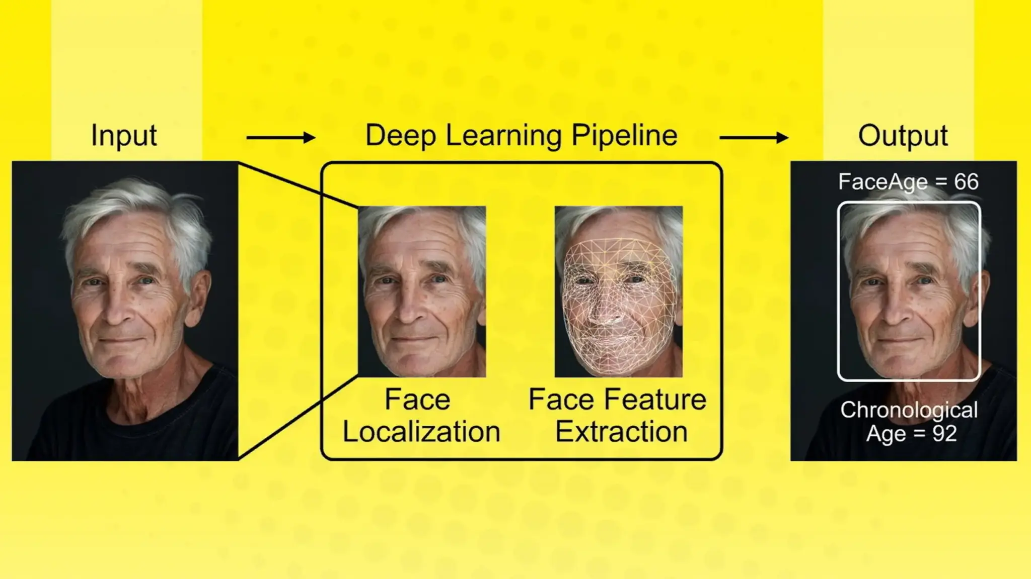 AI Predicts Cancer Survival