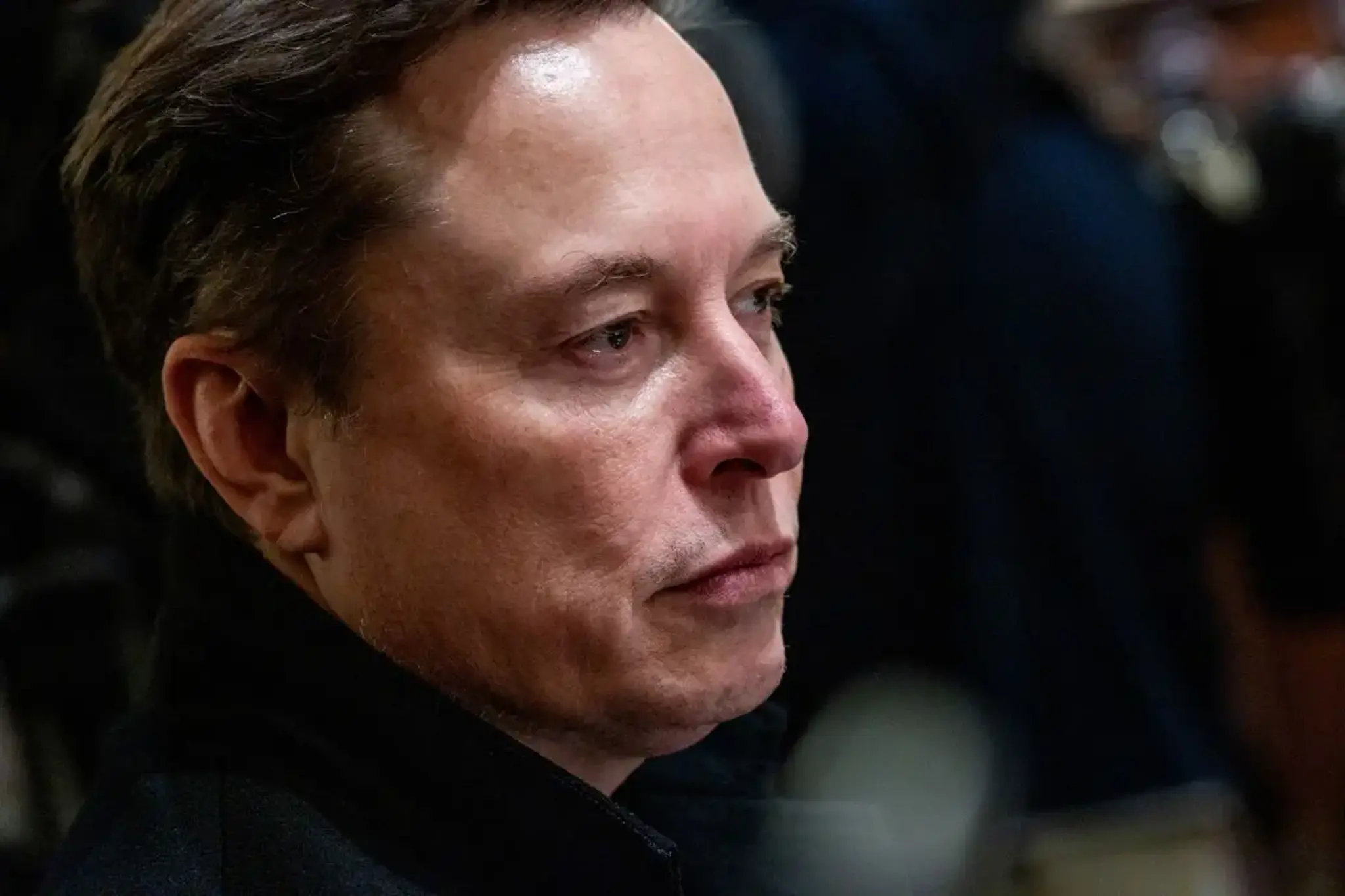 Musk: AI for Government Efficiency