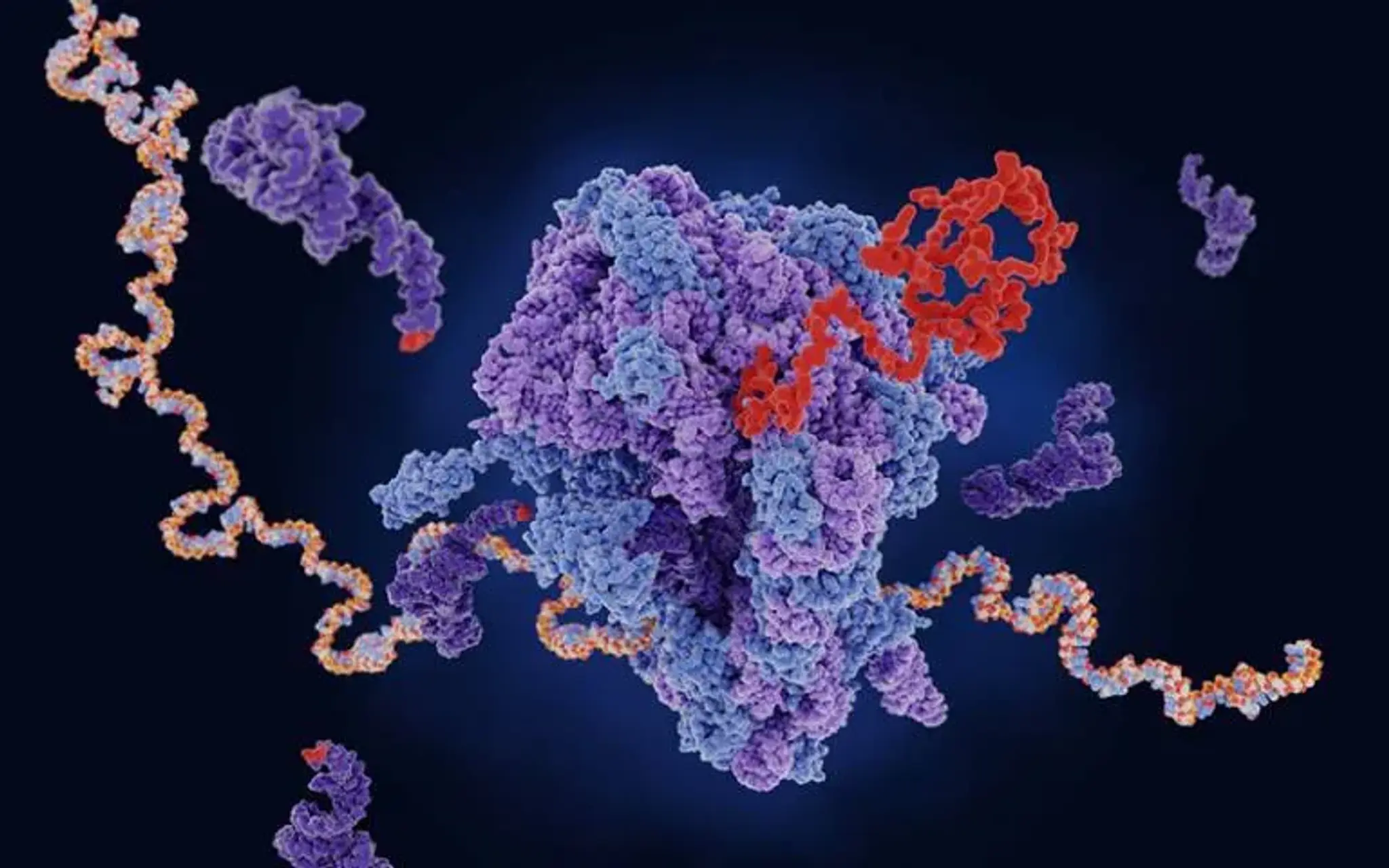 AI Maps Protein Misfolding