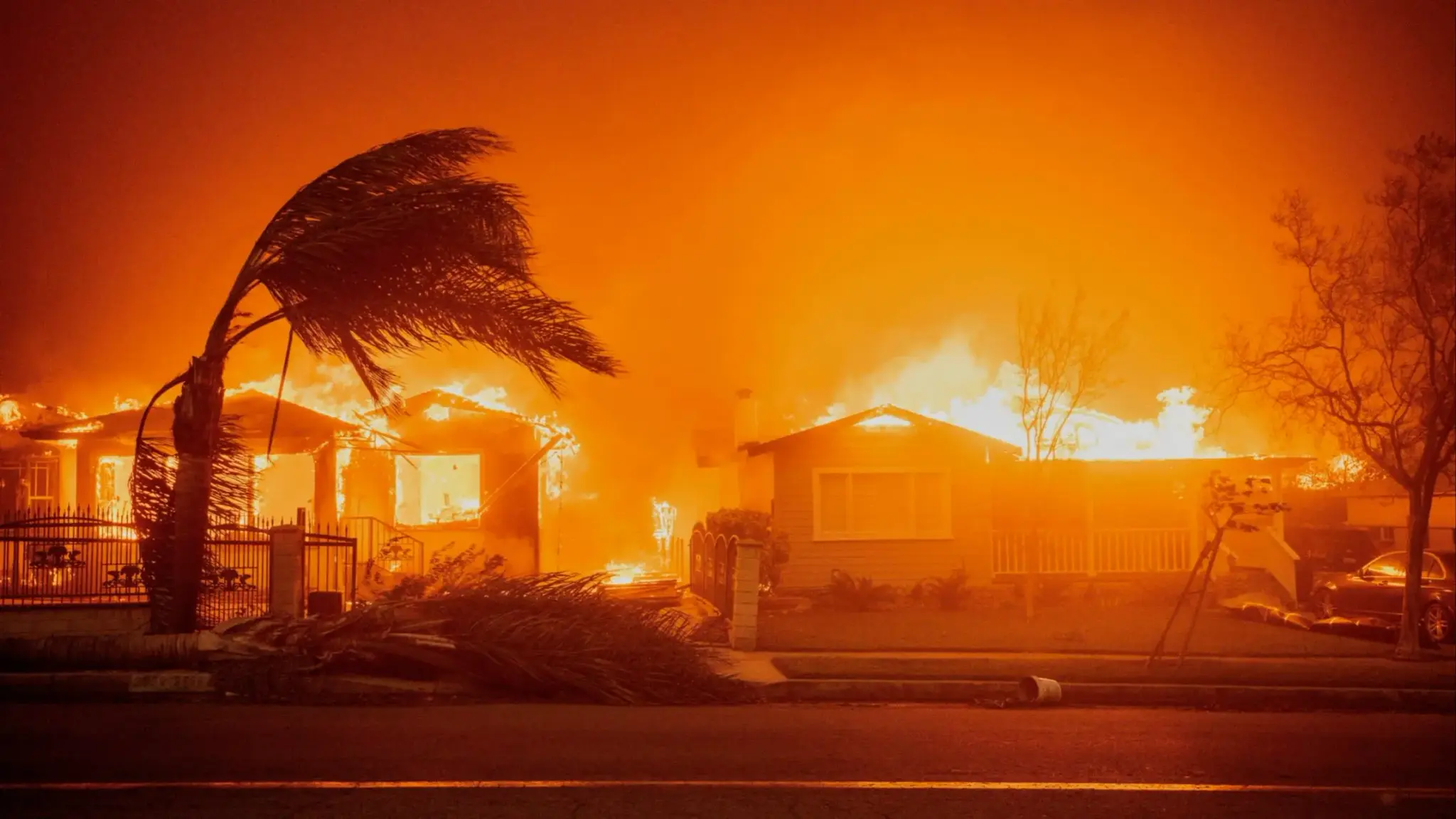 AI Model Enhances Wildfire Prediction