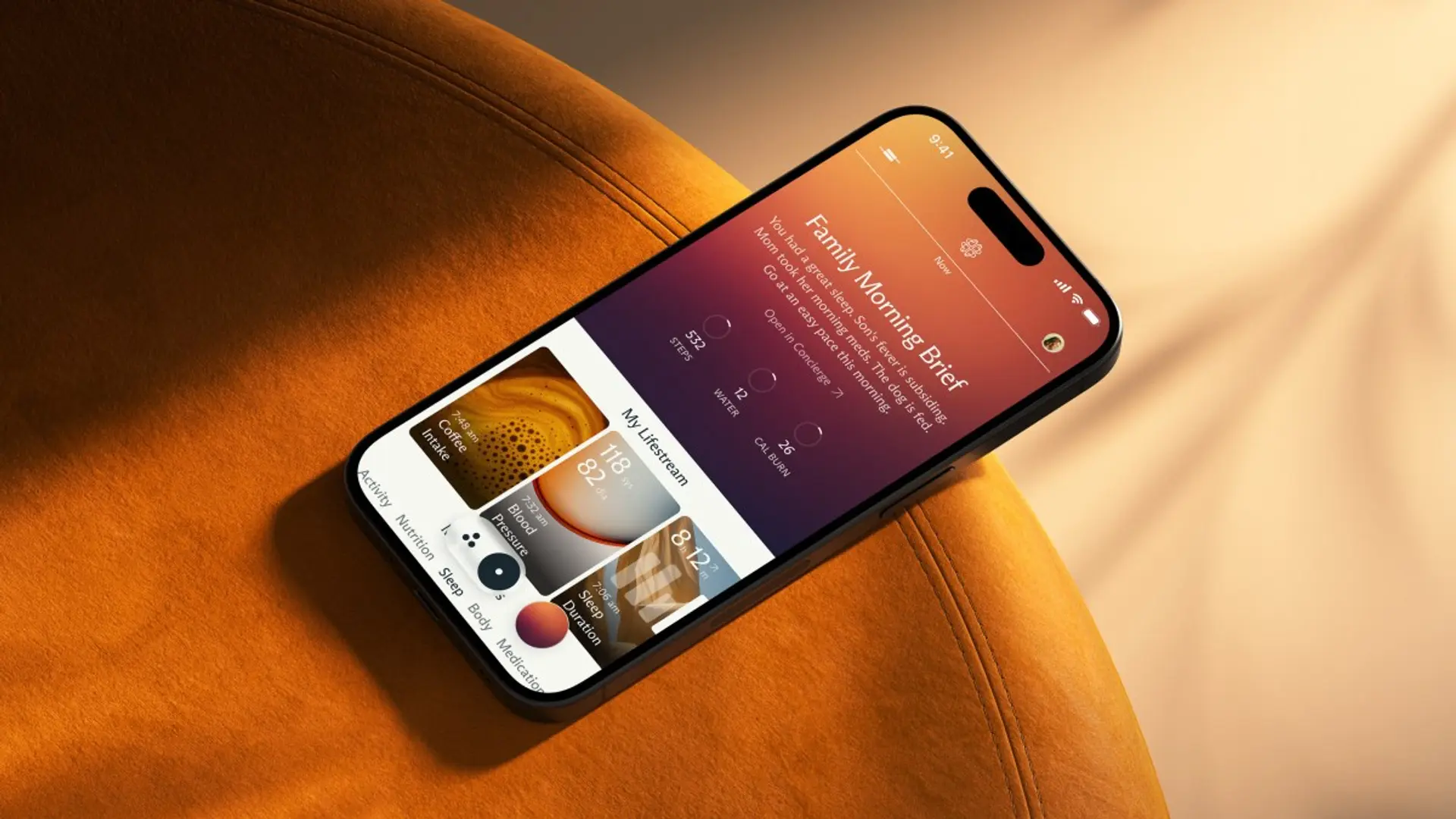 Luffu AI Family Health Platform