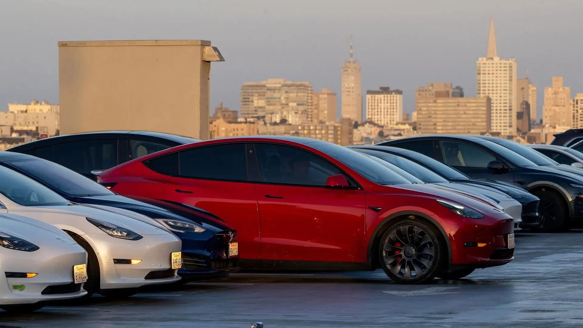 Tesla Car Lineup xAI Investment