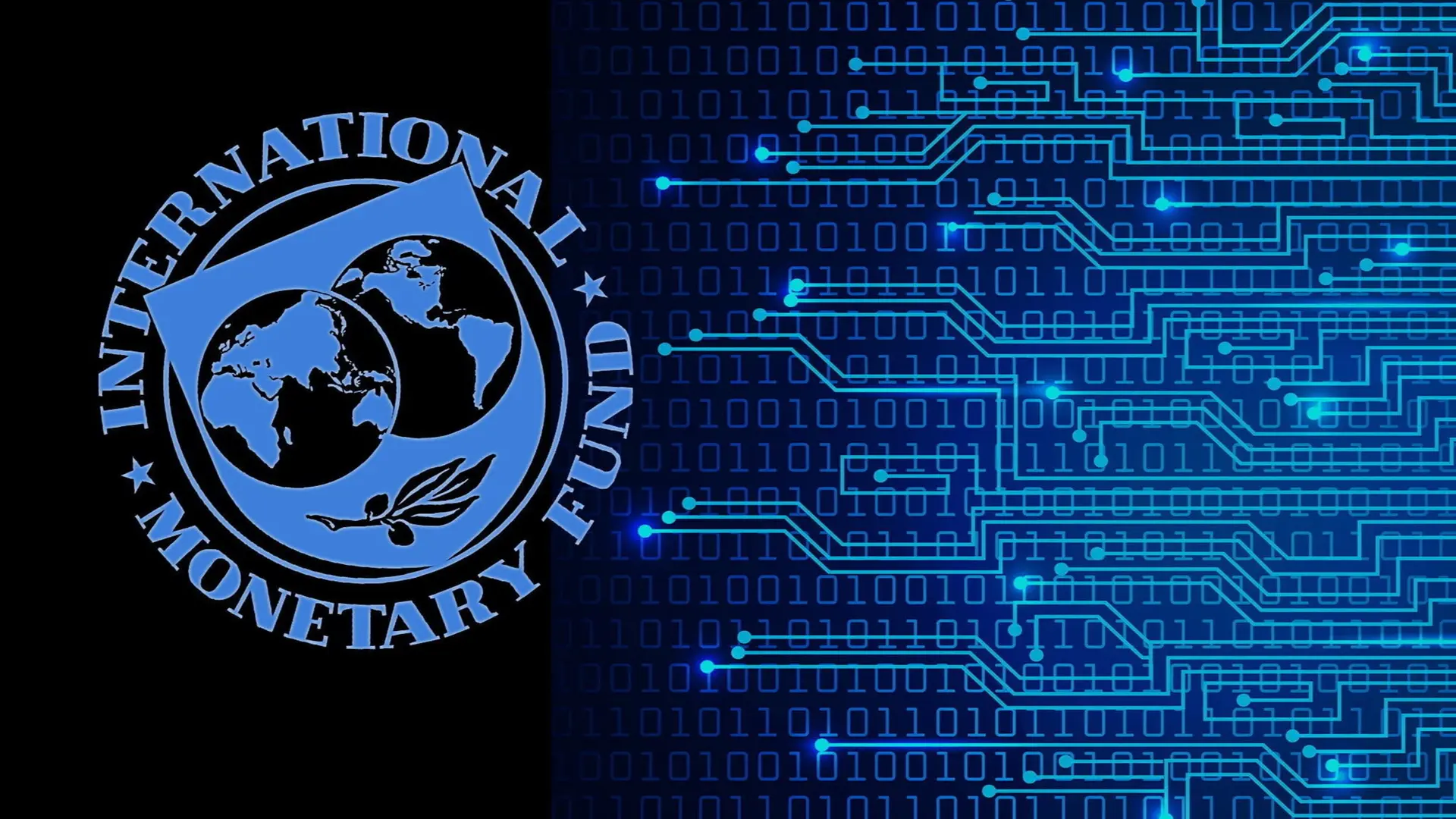 IMF Warns AI Economic Risk