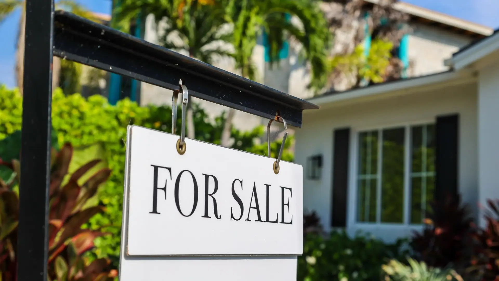 AI Errors Insured by Munich