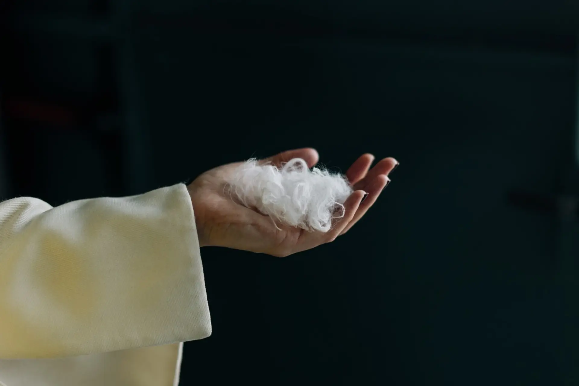 AI Turns Feathers to Cashmere