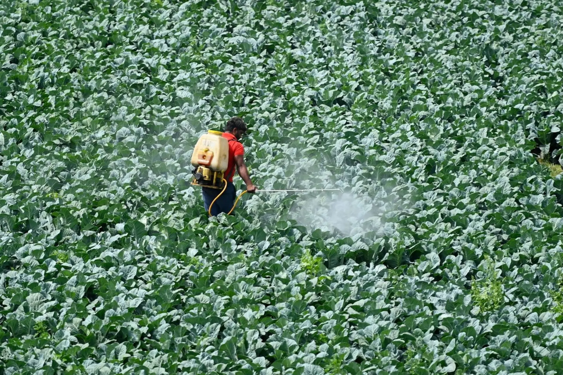 Bindwell reinvents pesticides with AI