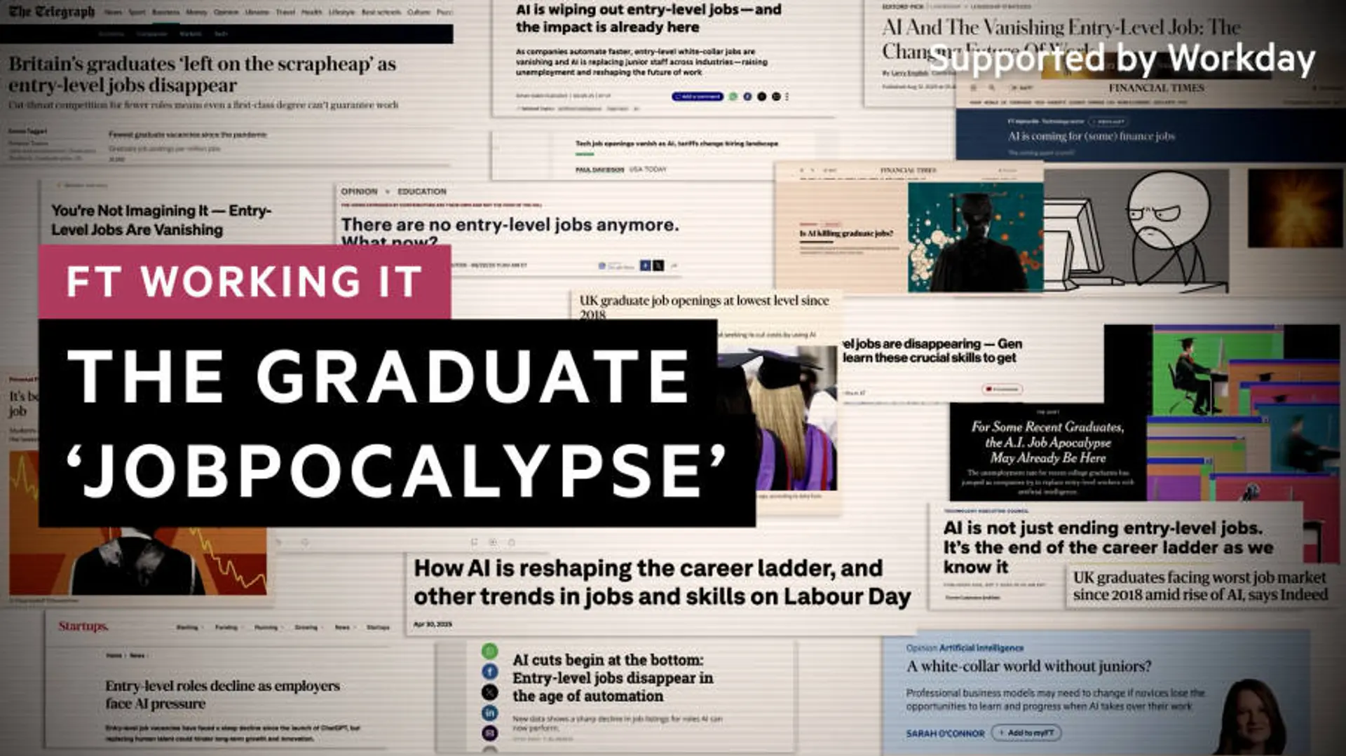 Entry-Level Jobs Vanishing Rapidly