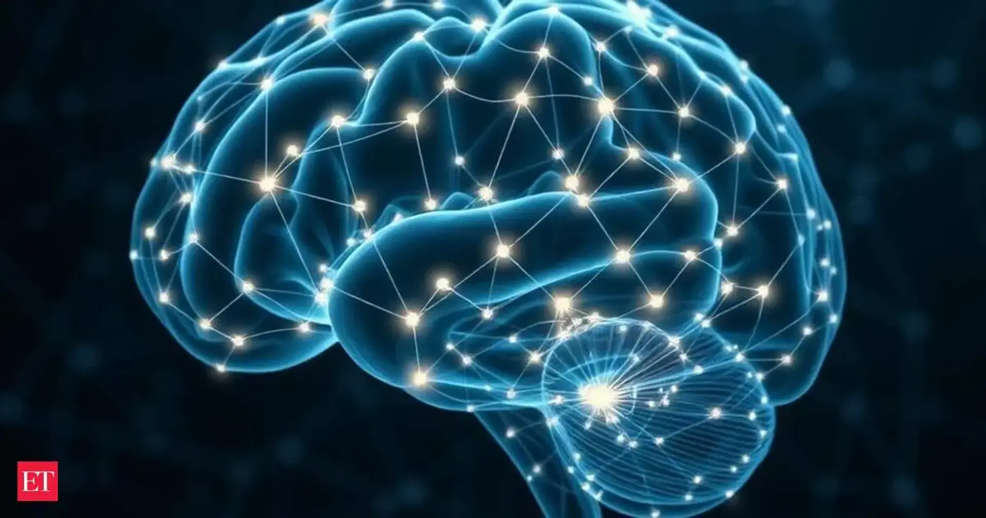 Sapient AI Model Excels