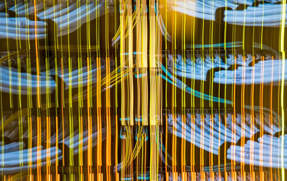 AI Impacts Entry-Level Job Market