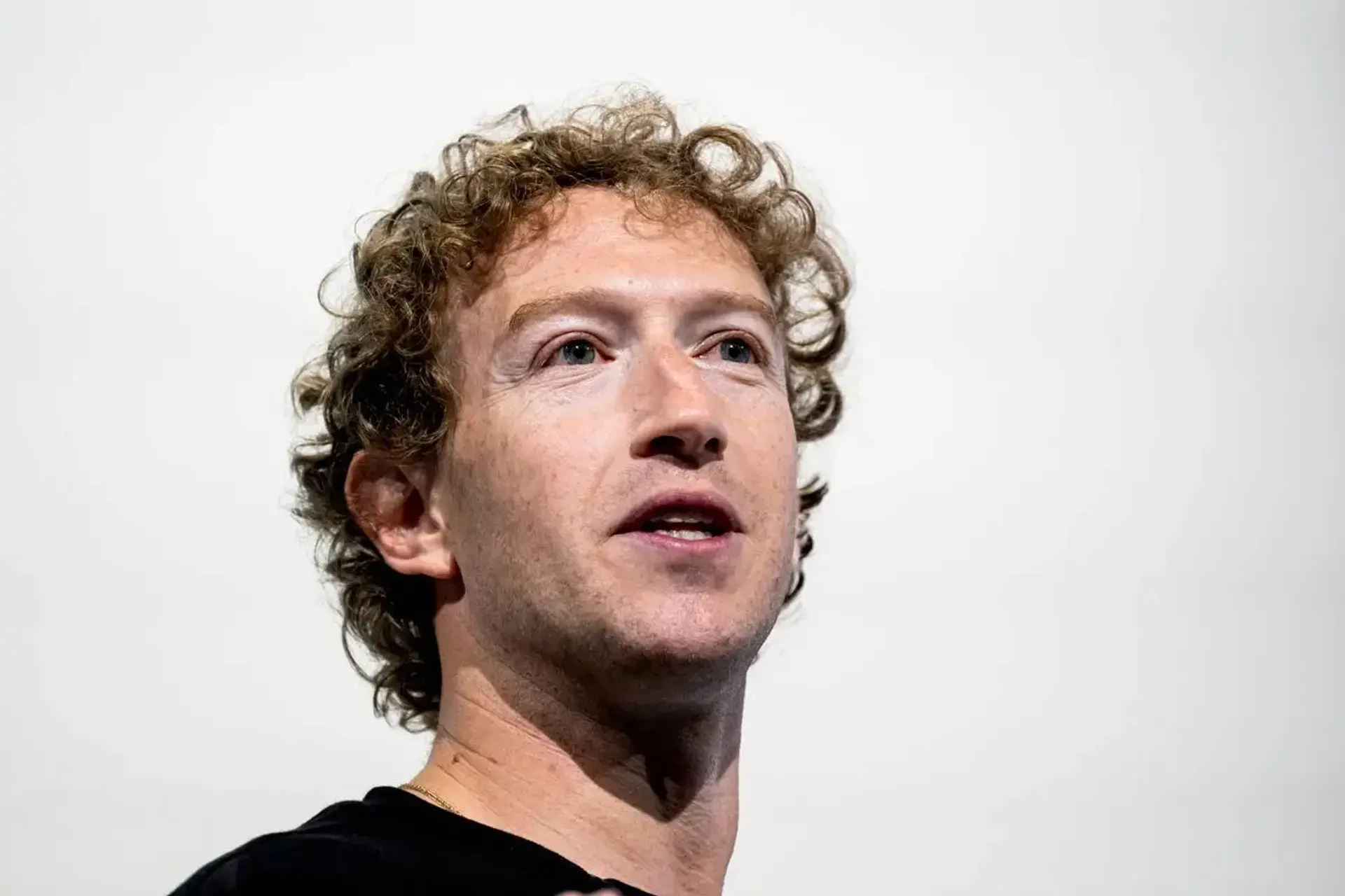 Musk sought Zuckerberg OpenAI backing