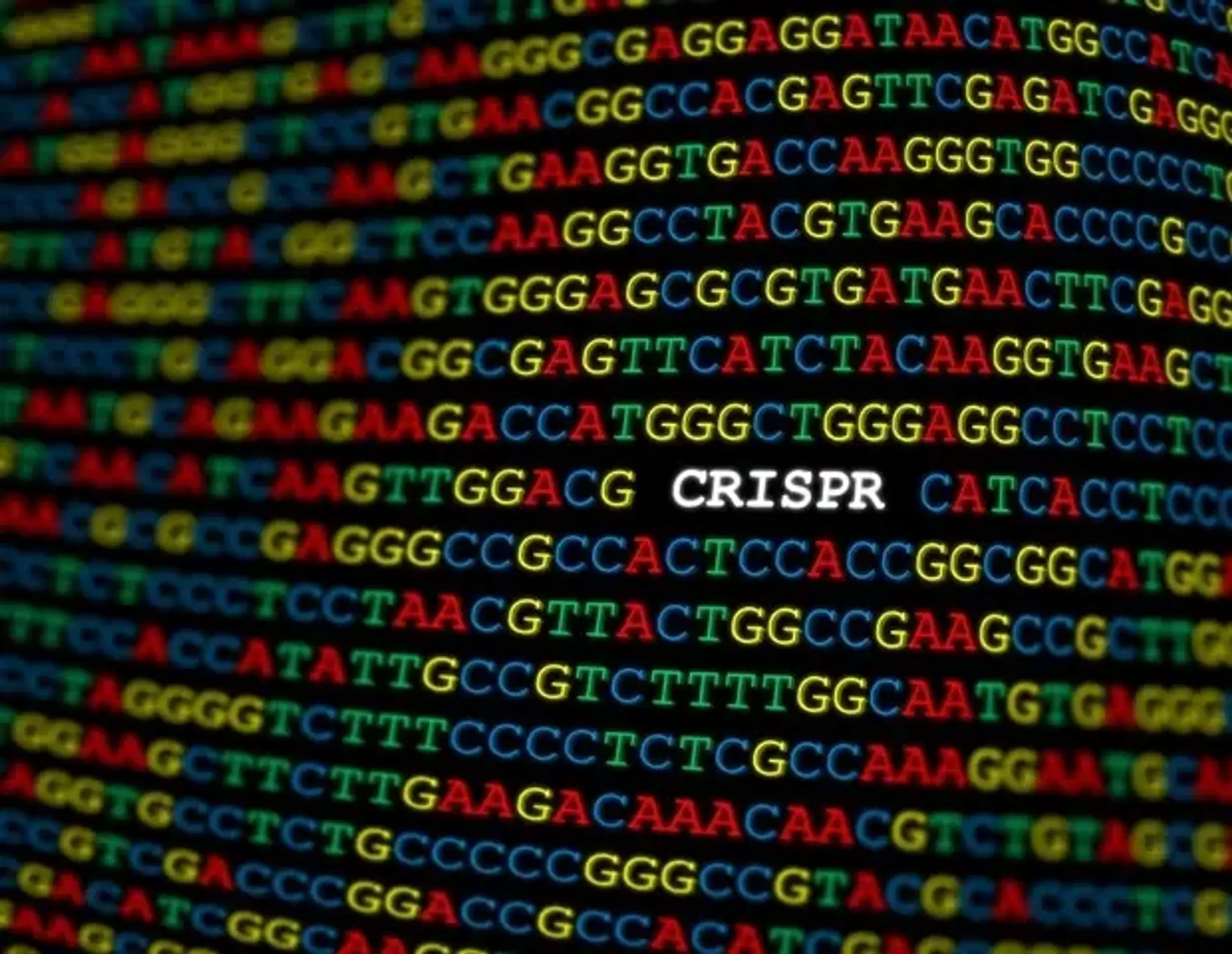 AI Enhances Genome Editing Precision