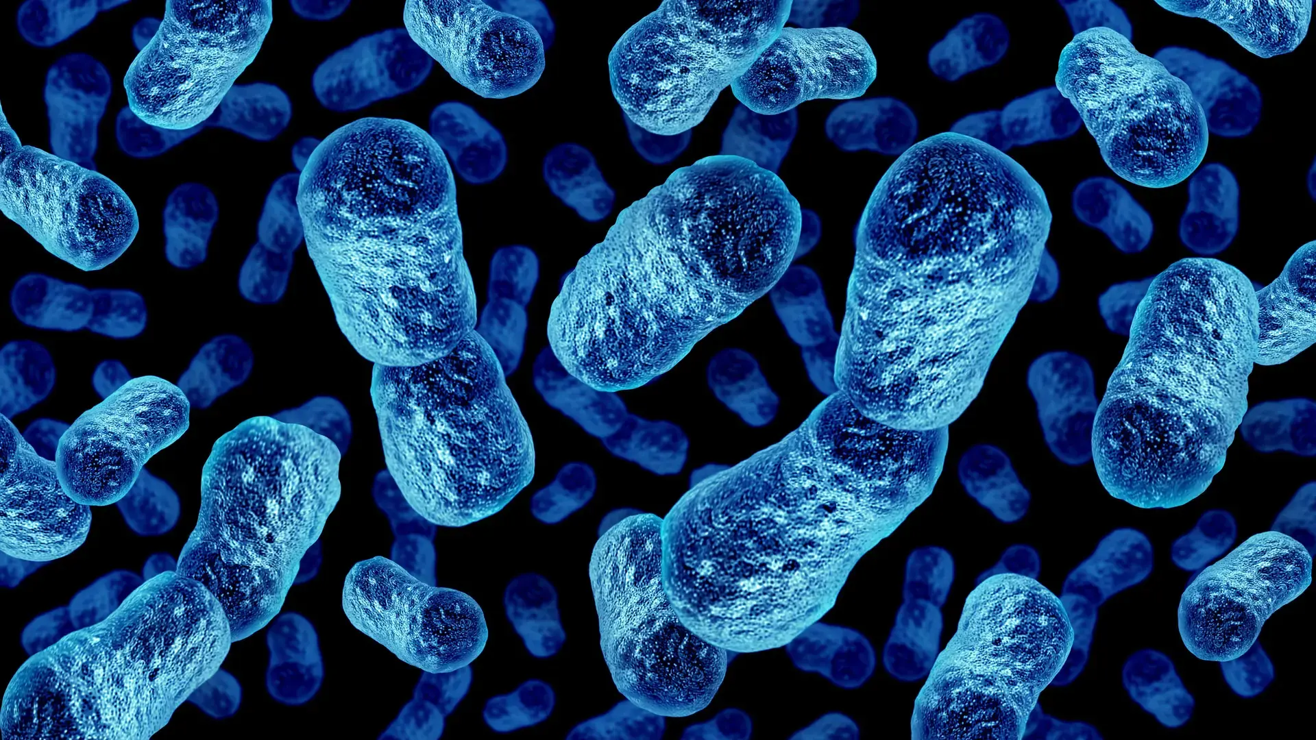 AI Tackles Fatigue Diseases