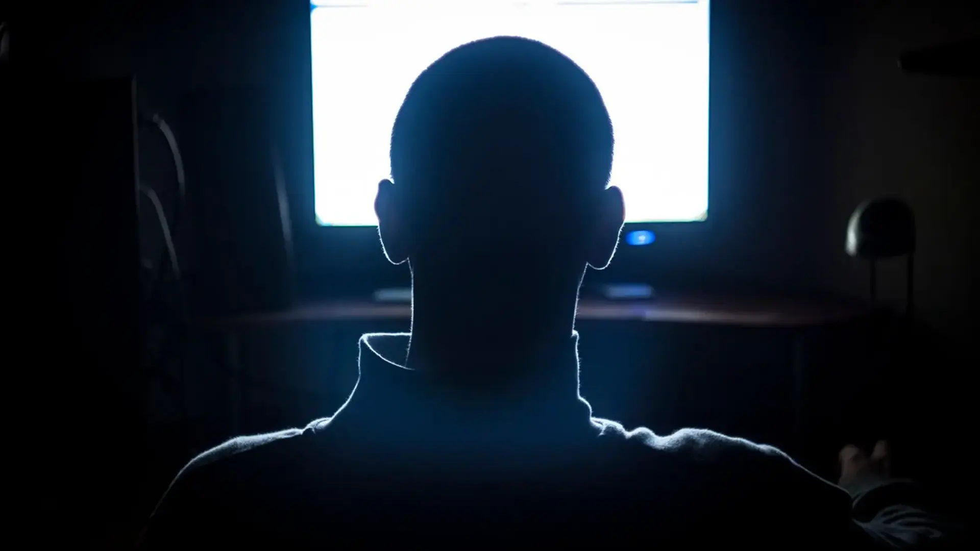 AI Misuse: Bergman sentenced
