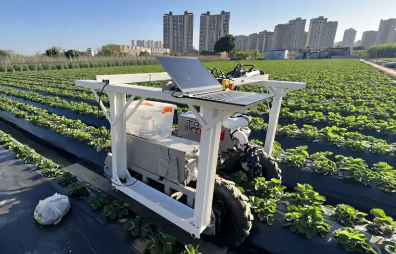 AI Robot Picks Strawberries
