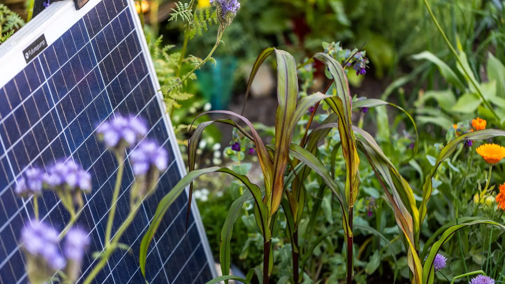 AI Sprouts in Horticulture