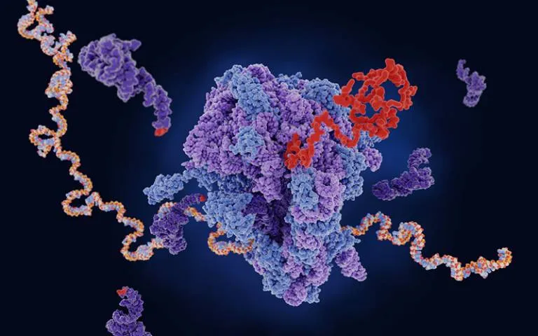 AI Maps Protein Misfolding